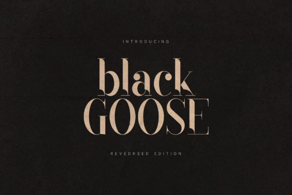 Black Goose Serif Font: A Hands-On Review for Makers and Designers