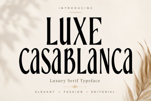 Luxe Casablanca: A Web Designer’s Review of This Elegant Serif