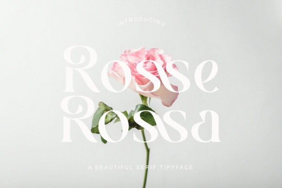 Rosse Rossa: A Serif Typeface Built for Digital Storytelling