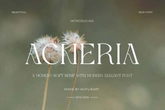 Testing Acheria: A Modern Soft Serif for Digital Brand Projects
